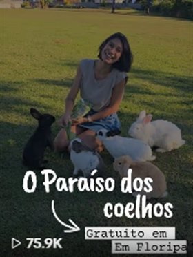 Vídeo "O Paraíso dos coelhos"