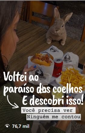 Story "Voltei ao paraíso dos coelhos e descobri isso!"